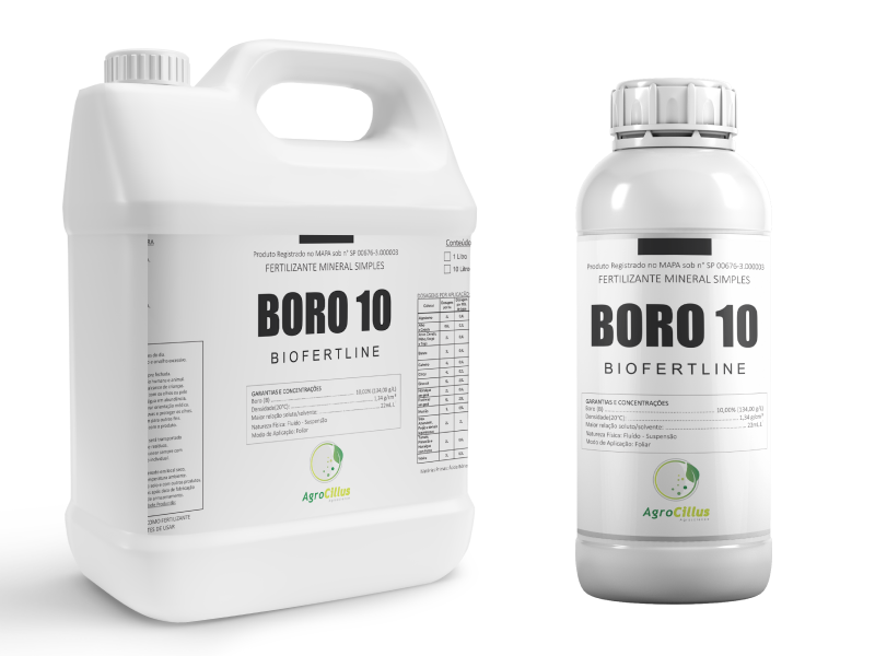 Boro 10